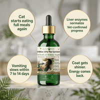 Daily Gut & Liver Reset Formula for Cats 1