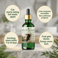 Daily Gut & Liver Reset Formula for Cats 1